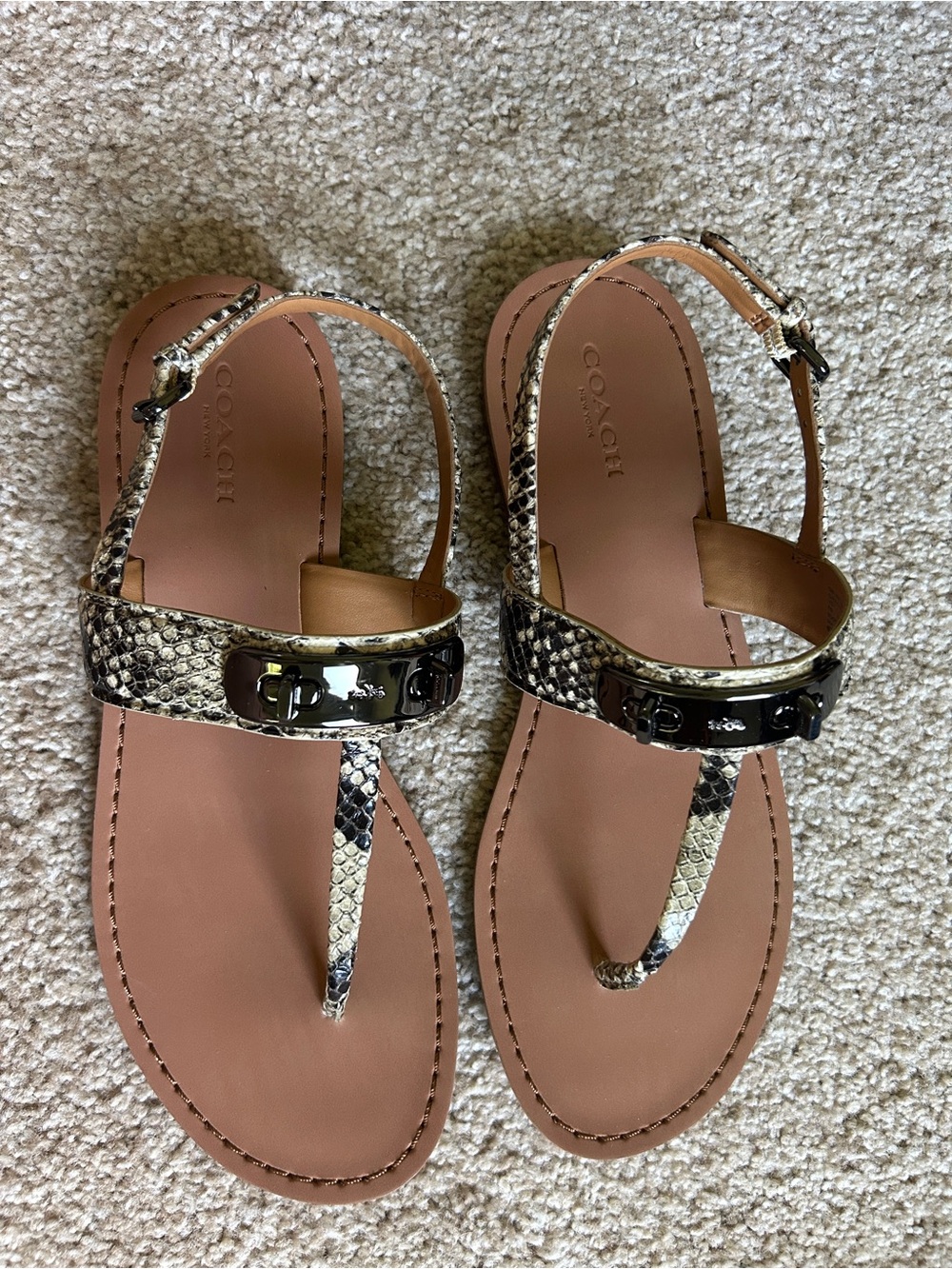 Coach Women’s Snake-Print Leather T-Strap Sandals